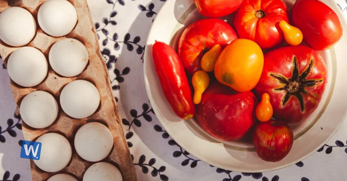 Beginner Nutrition