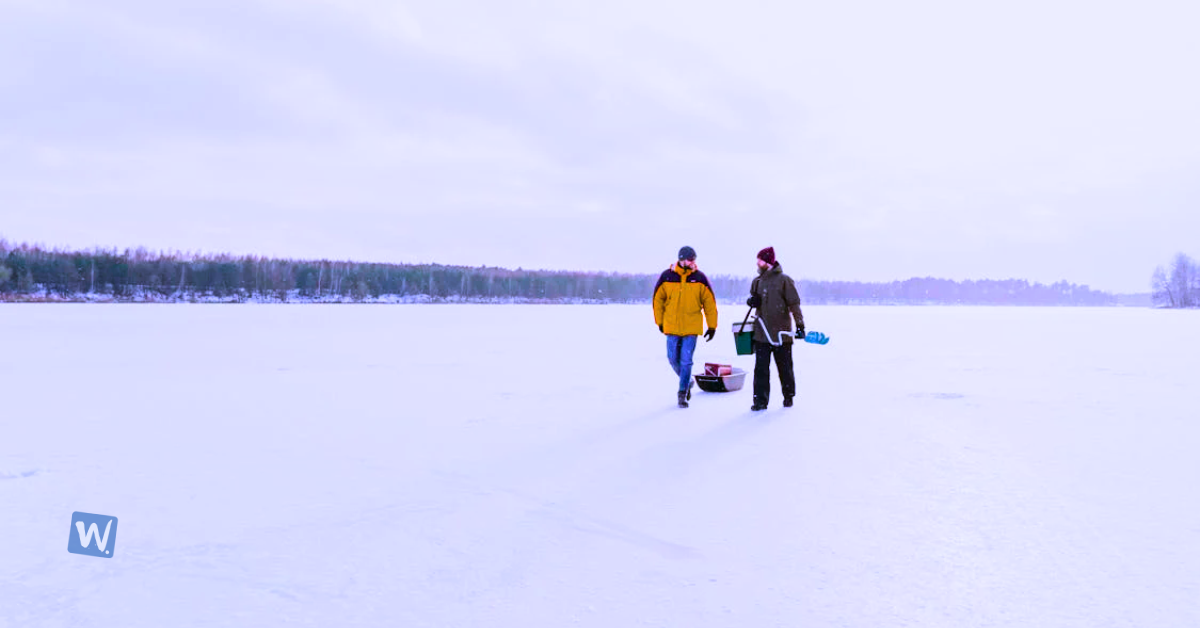 Best Seasonal Adventure Based on Your Preferences